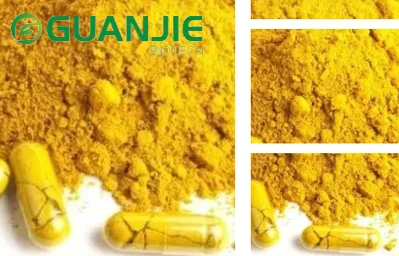 Berberine hydrochloride powder Berberine hydrochloride powder